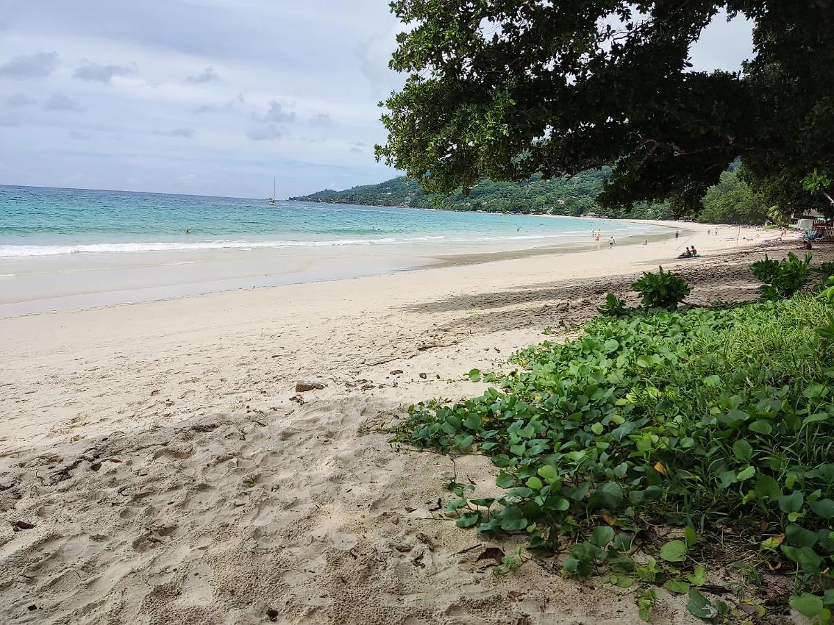 Mount Simpson 2-Beds Sleeps 4 5 Mins To Beach Beau Vallon  0*, Beau Vallon (Mahe)
